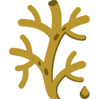 Whole-Body Connection