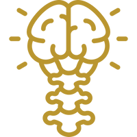 Spinal Cord