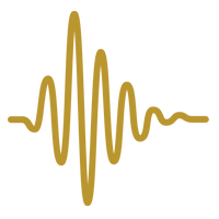 Neural Signaling