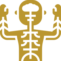 Whole Body
