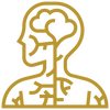 Nervous System